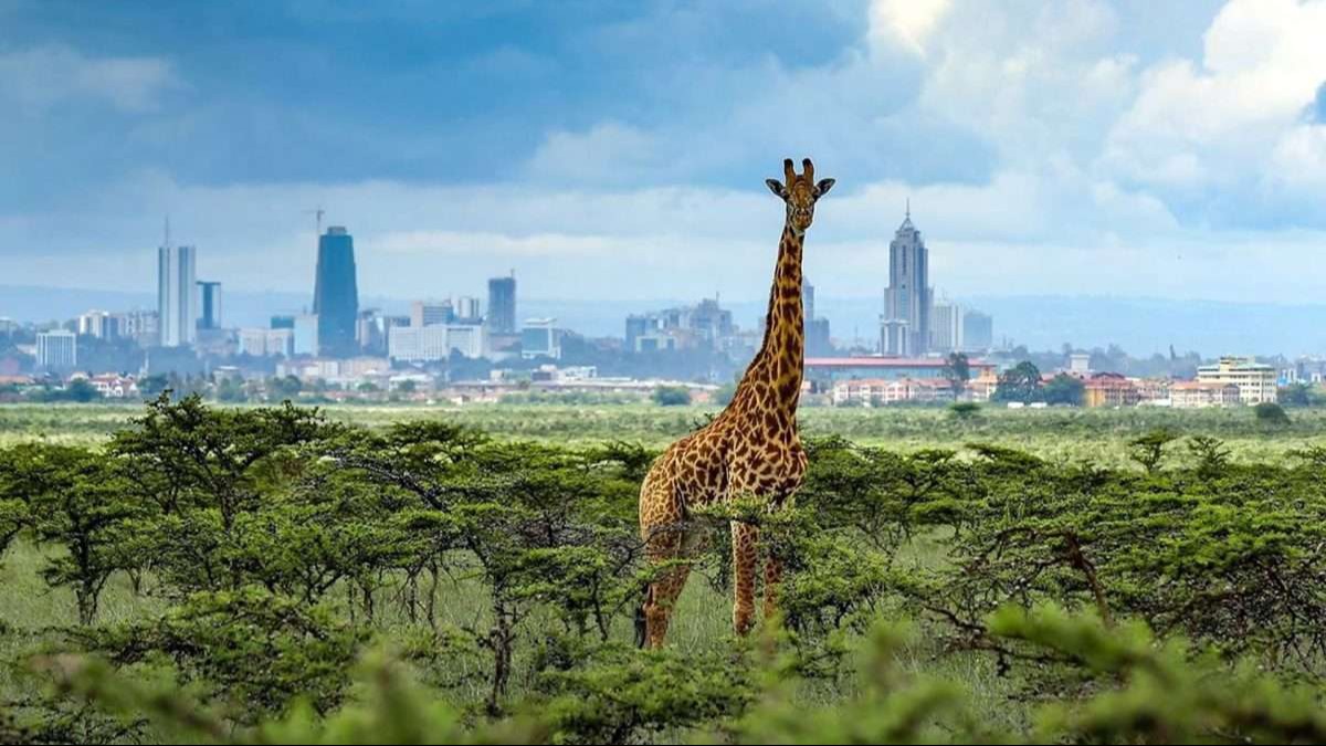 LAXURY NAIROBI DAY TRIP
