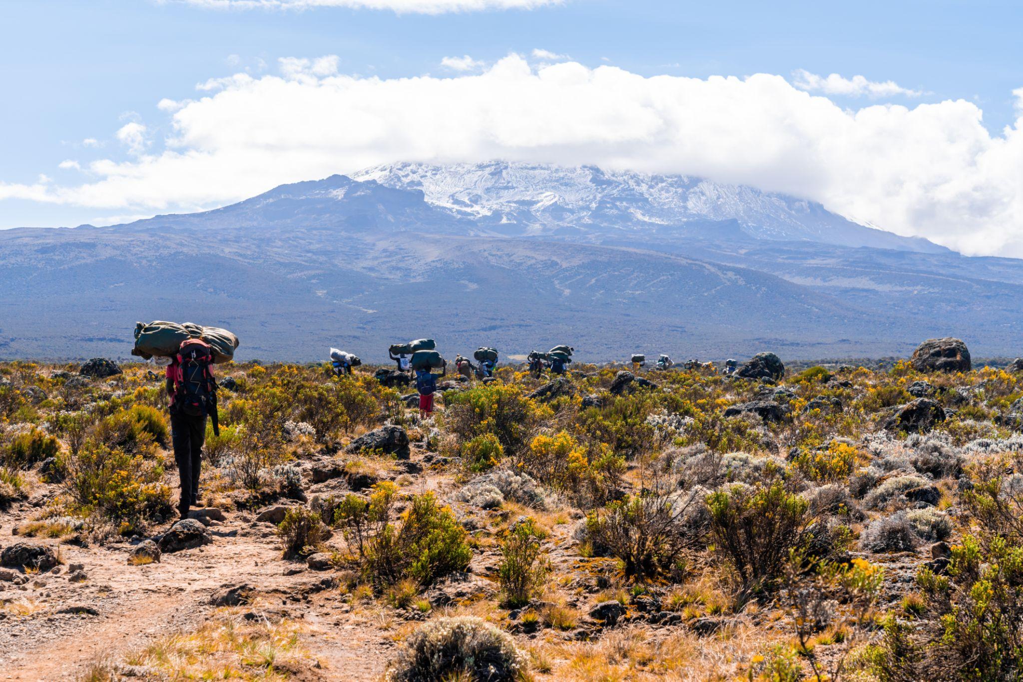 Mt. kilimanjaro Hike
